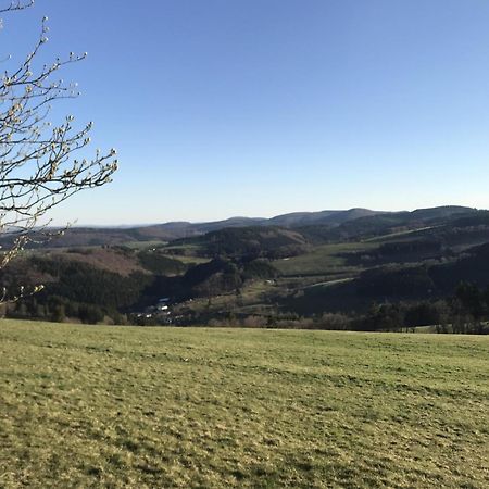Gluehalm Willingen Vila Willingen  Exterior foto