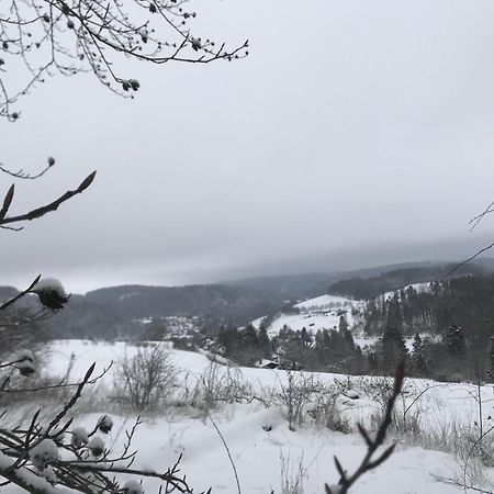 Gluehalm Willingen Vila Willingen  Exterior foto