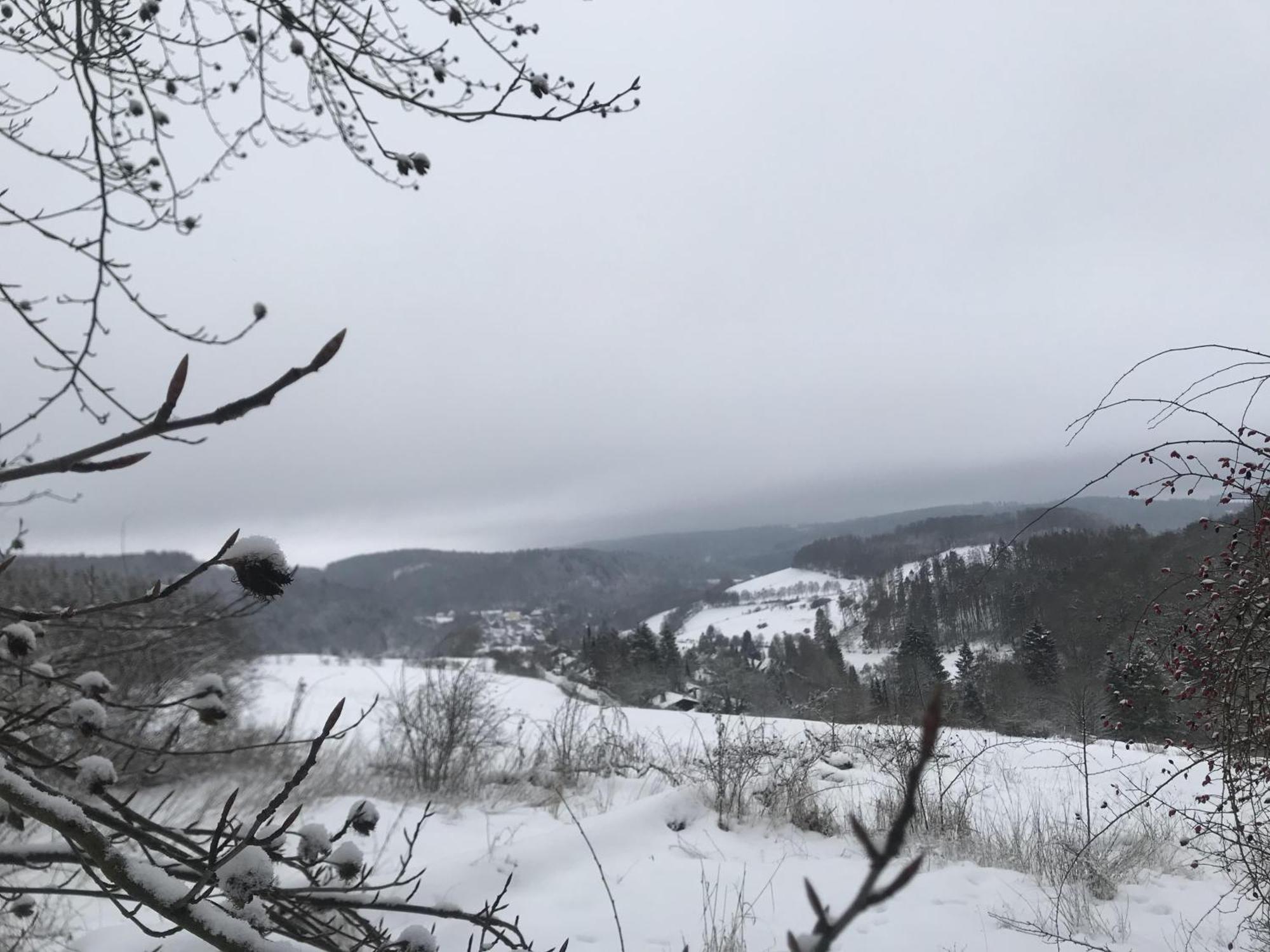 Gluehalm Willingen Vila Willingen  Exterior foto