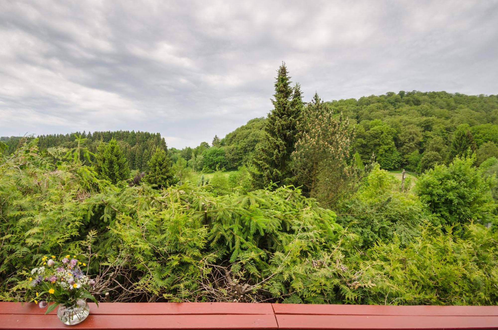Gluehalm Willingen Vila Willingen  Exterior foto